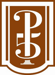 P5 logo