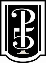 P5 logo