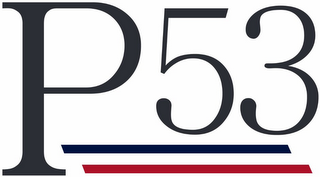 P53 logo