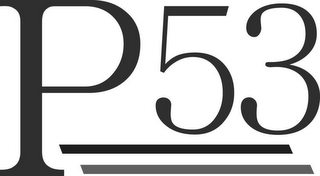 P53 logo