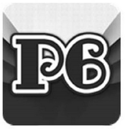 P6 logo