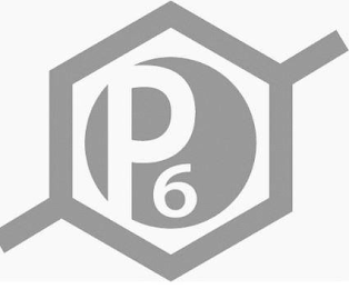 P6 logo