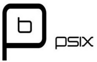 P6PSIX logo