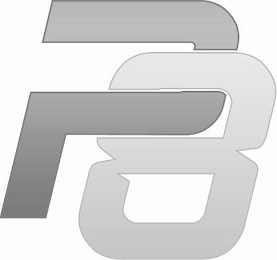 P8 logo
