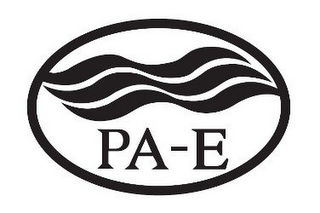 PA-E logo