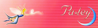 PA TEY logo