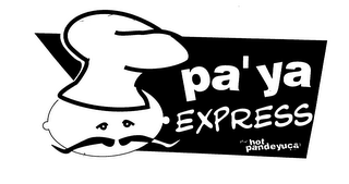 PA' YA EXPRESS BY HOT PANDEYUCA logo