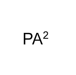 PA2 logo