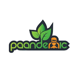 PAANDEMIC logo