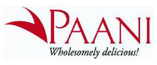 PAANI WHOLESOMELY DELICIOUS! logo