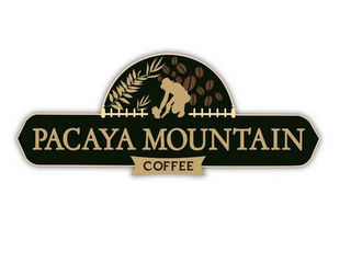 PACAYA MOUNTAIN COFFEE logo