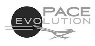PACE EVOLUTION logo