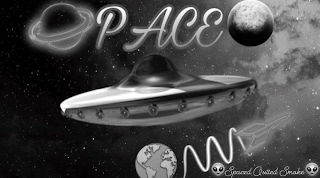 PACE SPACED OUTTED SMOKE logo