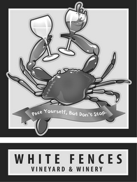 PACE YOURSELF, BUT DON'T STOP. WHITE FENCES VINEYARD & WINERY logo