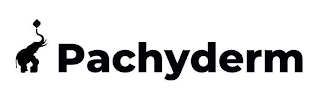 PACHYDERM
