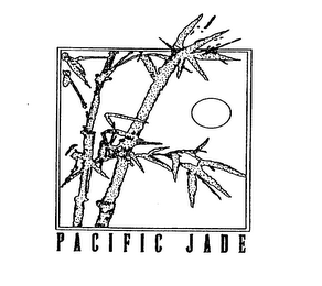 PACIFIC JADE logo
