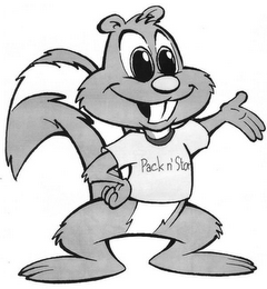 PACK N' STOR logo