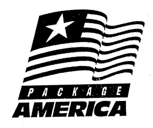 PACKAGE AMERICA logo