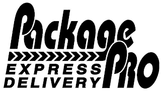 PACKAGE PRO EXPRESS DELIVERY logo