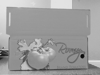 PACKED BY G. CEFALU & BRO., INC SINCE 1904 ROMY BRAND TOMATOES logo