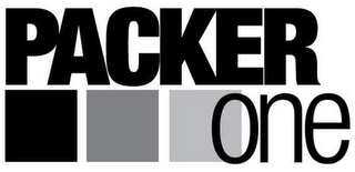PACKER ONE logo