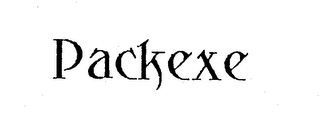 PACKEXE logo