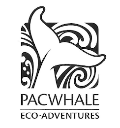PACWHALE ECO-ADVENTURES logo
