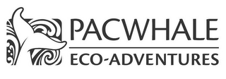 PACWHALE ECO-ADVENTURES logo