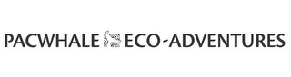 PACWHALE ECO-ADVENTURES logo