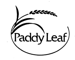 PADDY LEAF logo