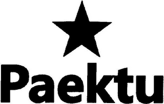 PAEKTU logo