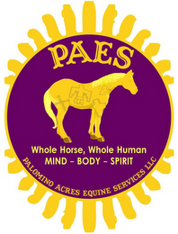 PAES WHOLE HORSE, WHOLE HUMAN MIND - BODY - SPIRIT PALOMINO ACRES EQUINE SERVICES LLC logo