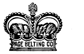 PAGE BELTING CO. logo