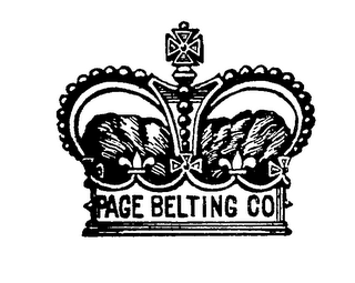 PAGE BELTING CO logo