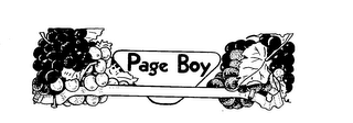 PAGE BOY logo