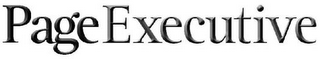 PAGEEXECUTIVE logo