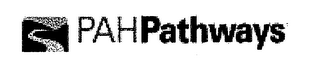 PAHPATHWAYS logo