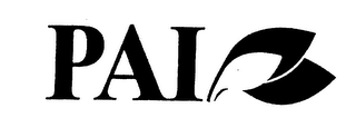 PAI logo