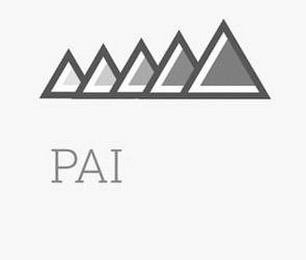 PAI logo