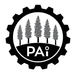 PAI logo