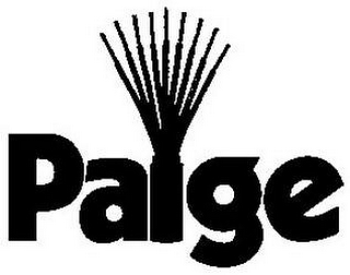PAIGE logo
