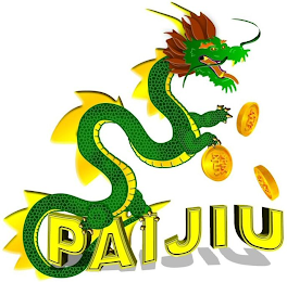 PAIJIU logo