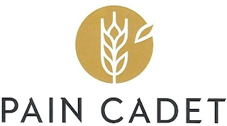 PAIN CADET logo