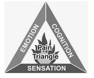 PAIN TRIANGLE COGNITION EMOTION SENSATION logo