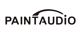 PAINTAUDIO logo