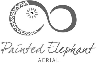PAINTED ELEPHANT AERIAL logo