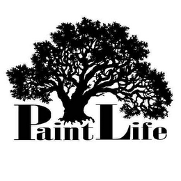 PAINTLIFE logo