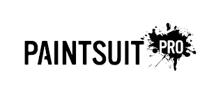 PAINTSUIT PRO logo