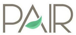 PAIR logo
