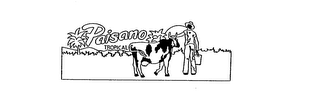 PAISANO TROPICAL logo
